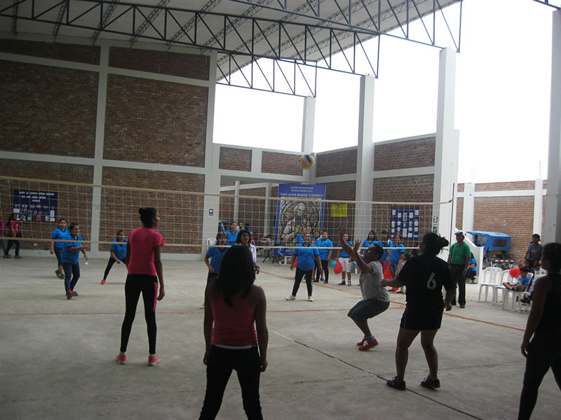 Exposici&oacute;n de trabajos